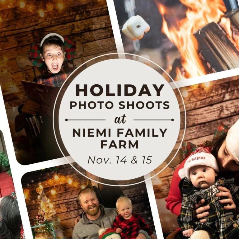 Instagram post from maureen_mcdermott_photography. This post is in position 4.